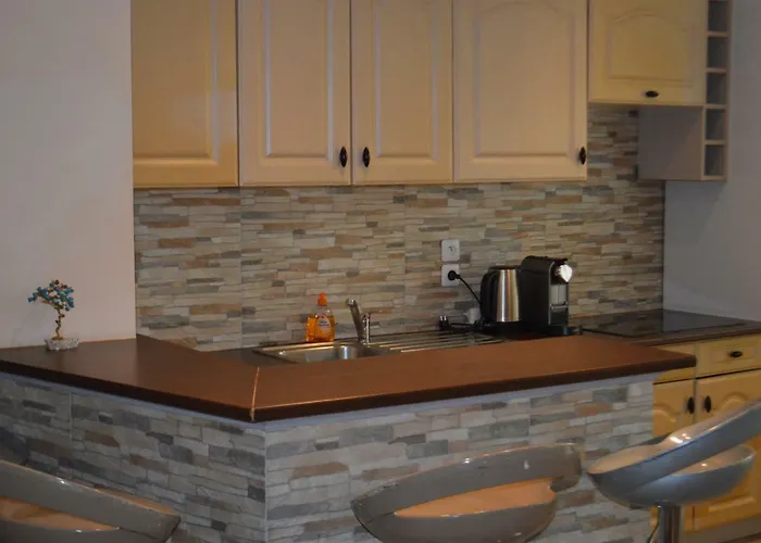 Apartmán Apartment-avenue Des Fleurs - 06000 *