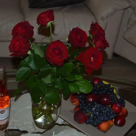 Apartamento Apartment-avenue Des Fleurs - 06000 Niza