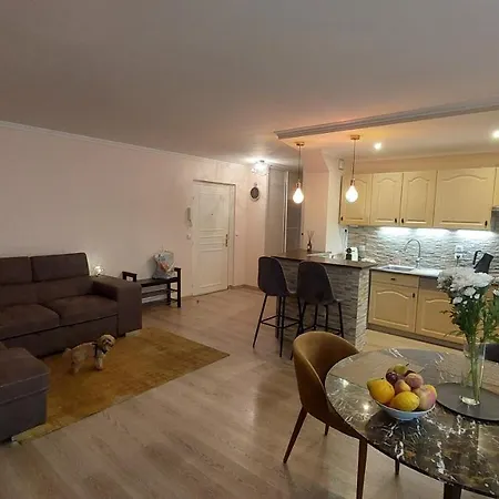 Apartment-avenue Des Fleurs - 06000 Nizza